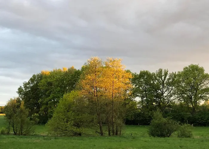 Ferienwohnung Mester